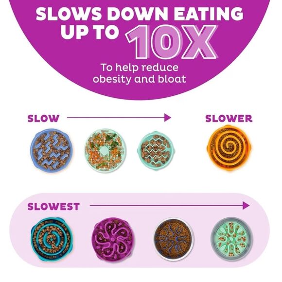 NWT Outward Hound Slo Bowl Purple LARGE Slow Feeder Anti Bloat Dog Bowl - Picture 8 of 9